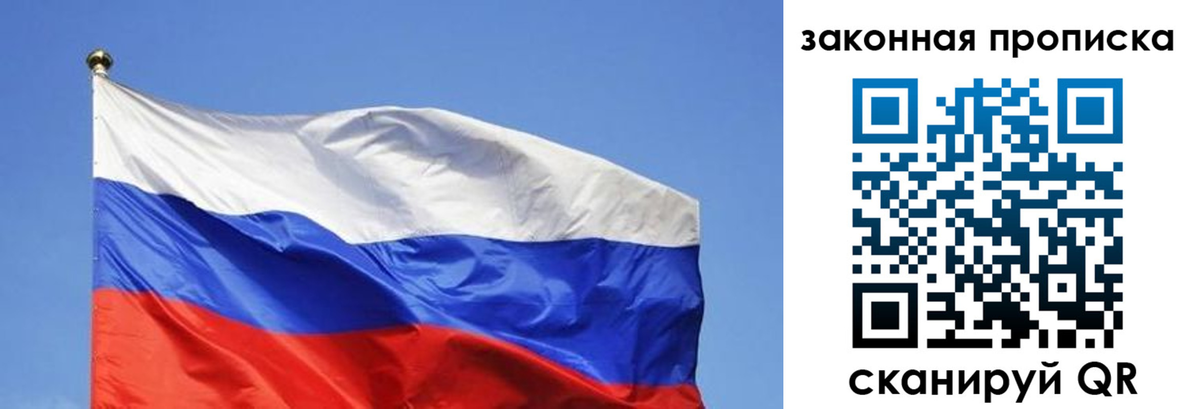 временная регистрация надежно в Владимирской области